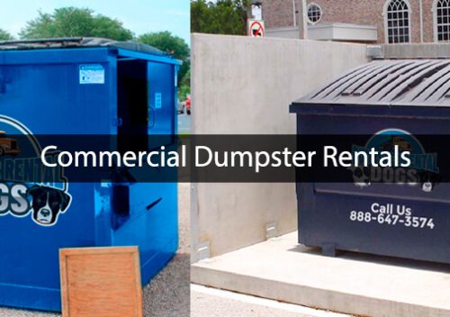 Professional Dumpster Rentals at Affordable Prices